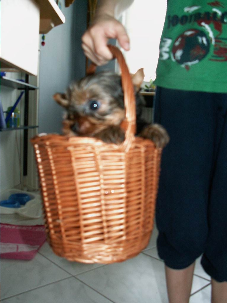 e.JPG