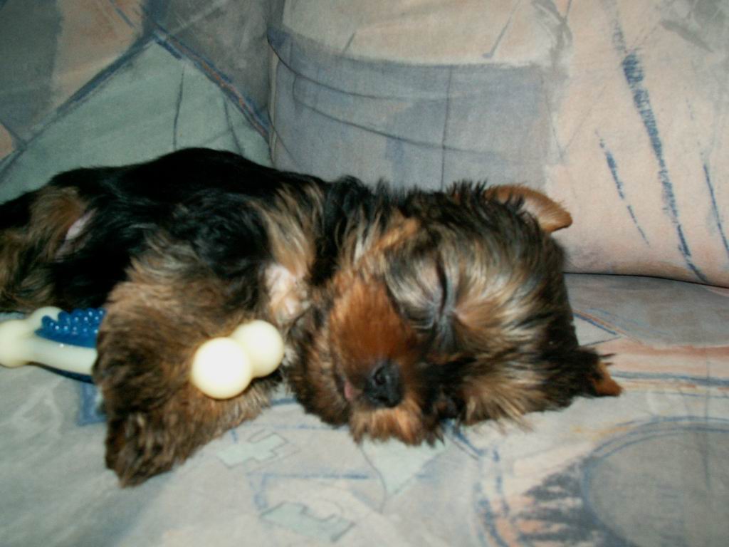 PICT0012.JPG