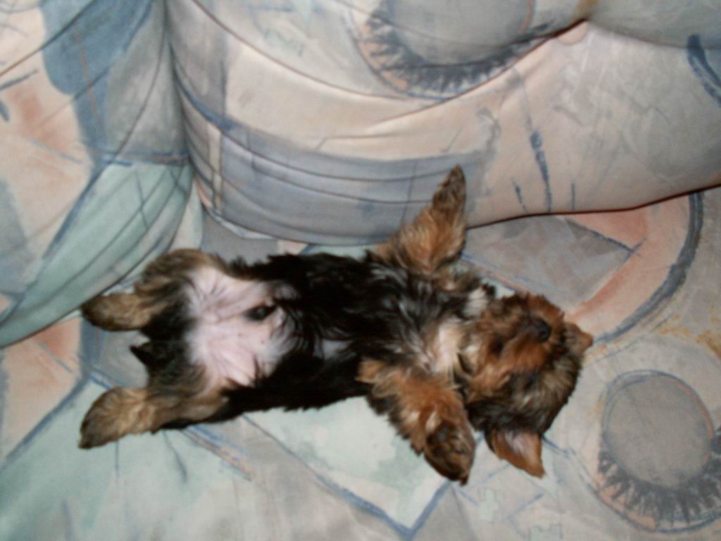PICT00011.JPG