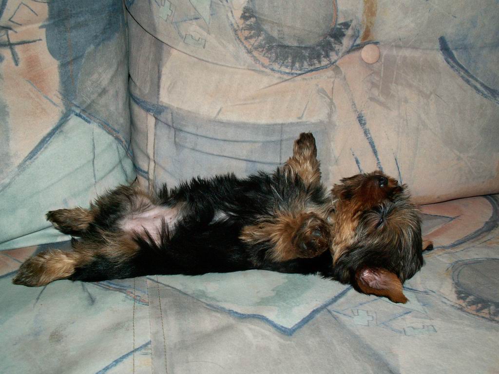 PICT00041.JPG