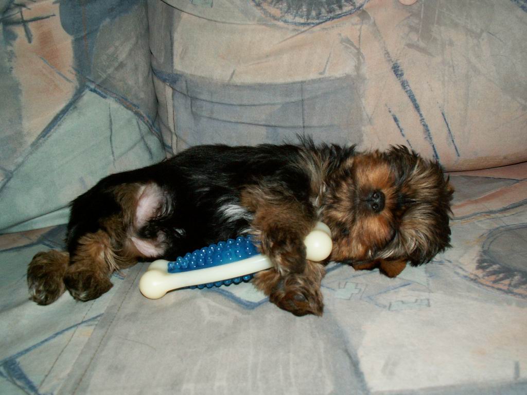 PICT00071.JPG