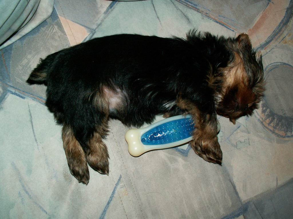 PICT00101.JPG