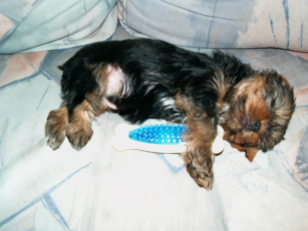PICT00111.JPG