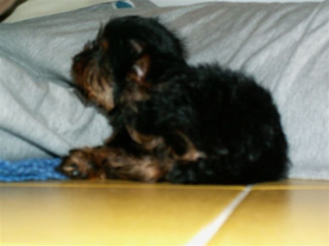 PICT0019.jpg